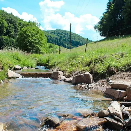 Comfortable In A Beautiful Location Hofstetten (Baden-Wurttemberg)