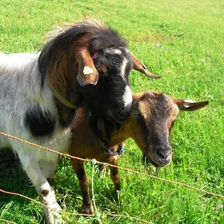 Comfortable In A Beautiful Location Apartmán