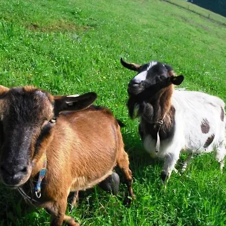 Comfortable In A Beautiful Location Apartmán *