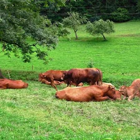 Comfortable In A Beautiful Location 아파트 Hofstetten (Baden-Wurttemberg)