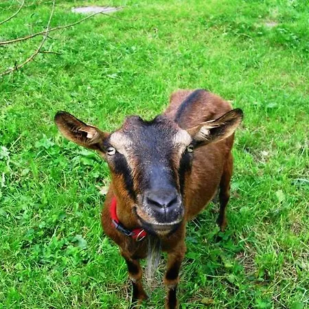 Comfortable In A Beautiful Location *