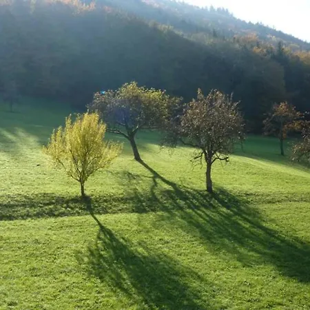 아파트 Comfortable In A Beautiful Location Hofstetten (Baden-Wurttemberg)