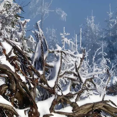 Apartmán Comfortable In A Beautiful Location