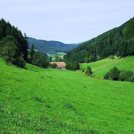 Comfortable In A Beautiful Location Apartmán Hofstetten (Baden-Wurttemberg)