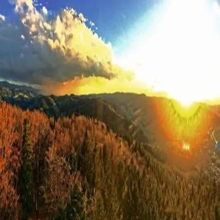 Apartment Comfortable In A Beautiful Location *