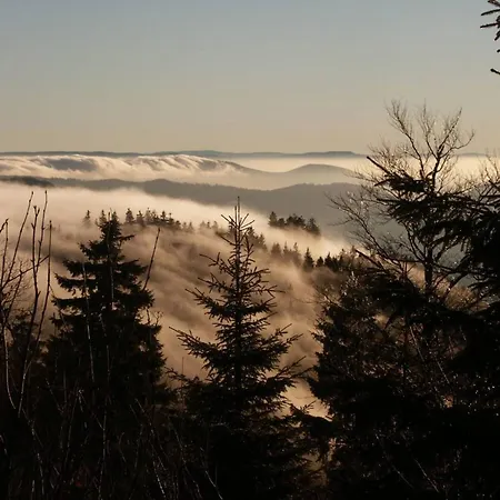 Comfortable In A Beautiful Location *