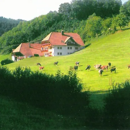 Comfortable In A Beautiful Location Apartmán Hofstetten (Baden-Wurttemberg)