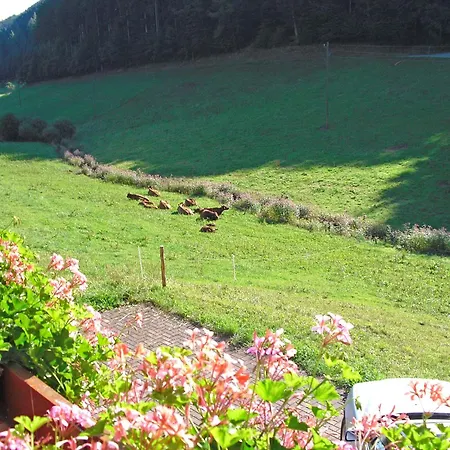 Apartmán Comfortable In A Beautiful Location Hofstetten (Baden-Wurttemberg)