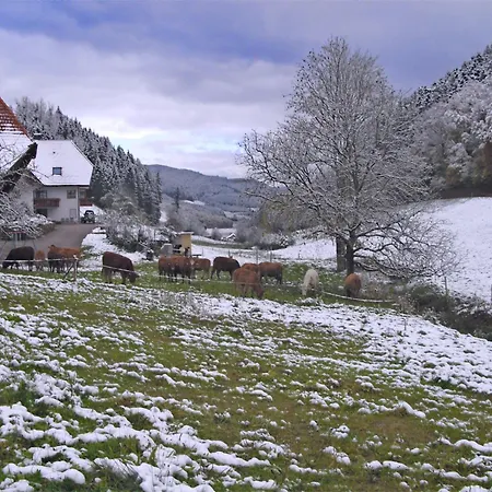 Comfortable In A Beautiful Location *