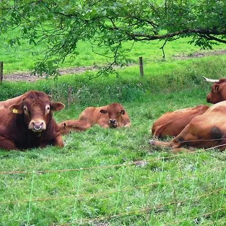 Apartmán Comfortable In A Beautiful Location *