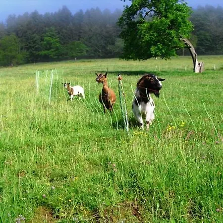 Comfortable In A Beautiful Location Hofstetten (Baden-Wurttemberg)