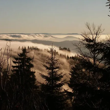 Apartment Comfortable In A Beautiful Location