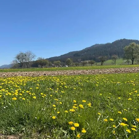 Comfortable In A Beautiful Location 아파트 Hofstetten (Baden-Wurttemberg)