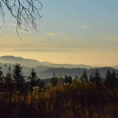 Comfortable In A Beautiful Location