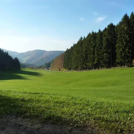 Apartment Comfortable In A Beautiful Location