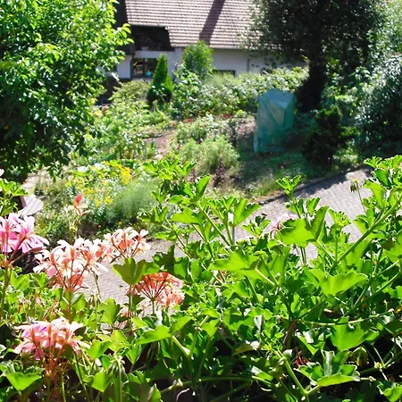 Apartmán Comfortable In A Beautiful Location *