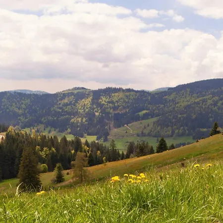 Comfortable In A Beautiful Location Hofstetten (Baden-Wurttemberg)