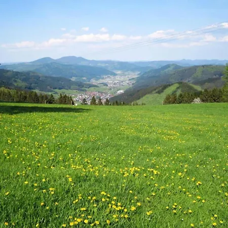 Comfortable In A Beautiful Location * Hofstetten (Baden-Wurttemberg)