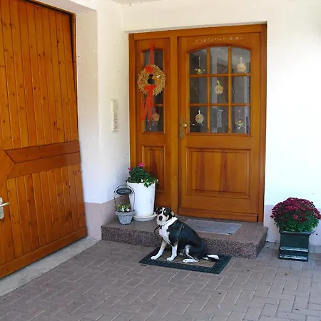 Comfortable In A Beautiful Location Apartment Hofstetten (Baden-Wurttemberg)